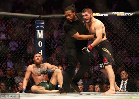 khabib knockout